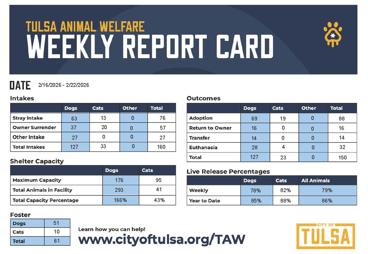 TAW Weekly Report 2-20-26.jpg