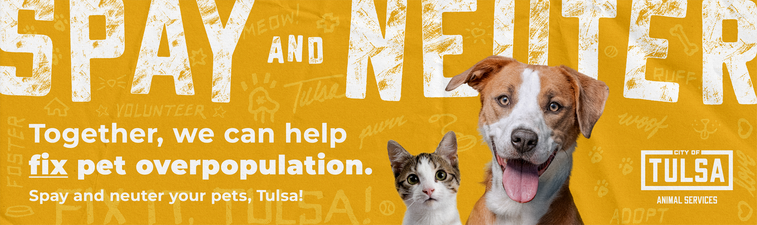 COT-Spay and Neuter Web Banner-1240x370-Gold.png