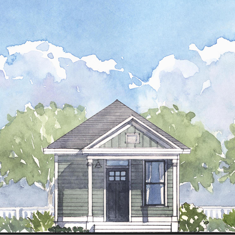 Daffodil House Drawing